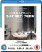 The Killing Of A Sacred Deer