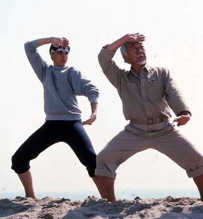 The Karate Kid (Special Edition)
