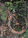 You You're A History In Rust