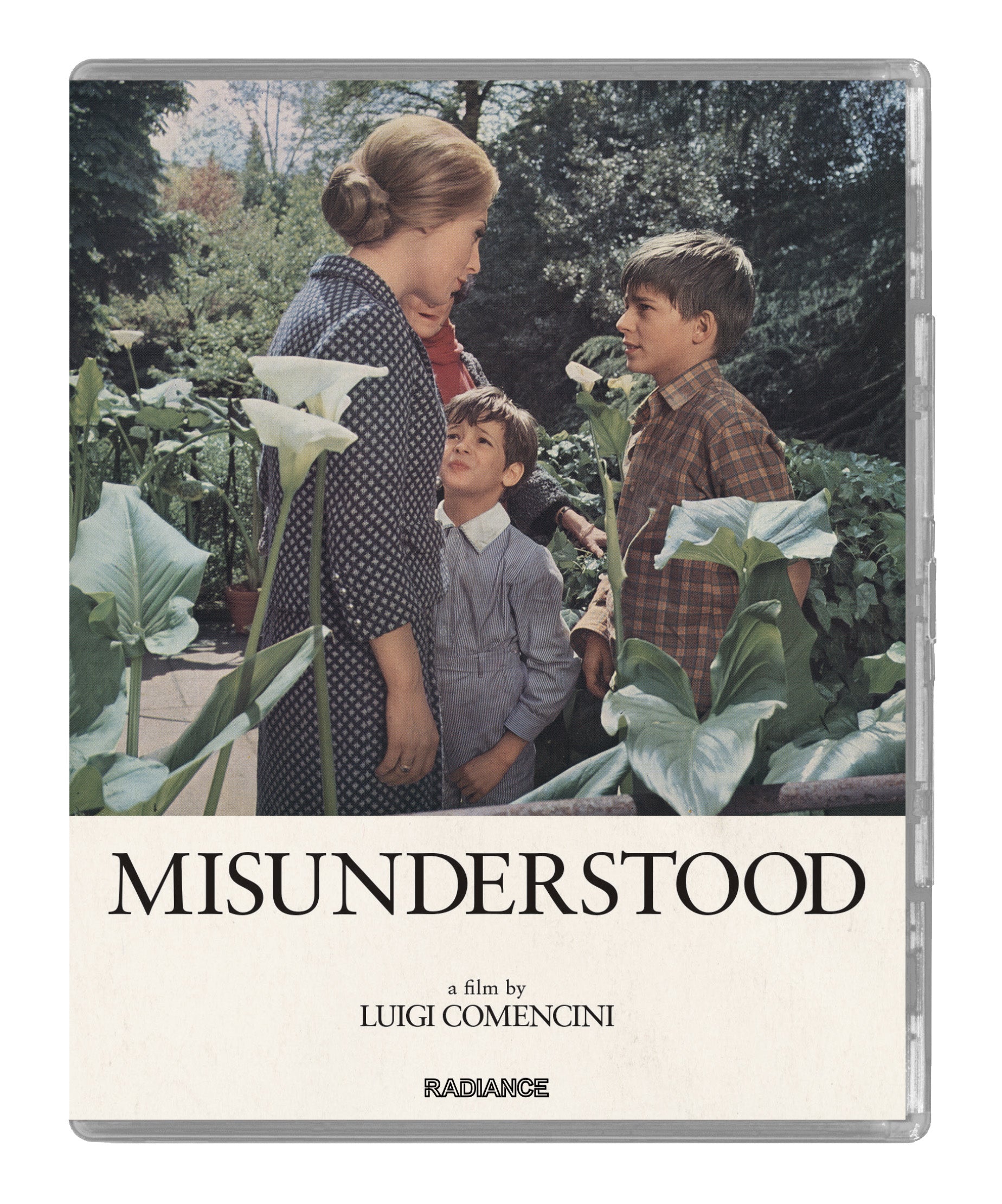 Misunderstood