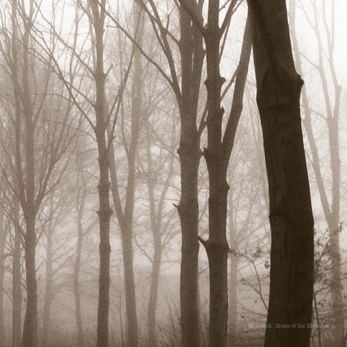 Scars of the Midwest
