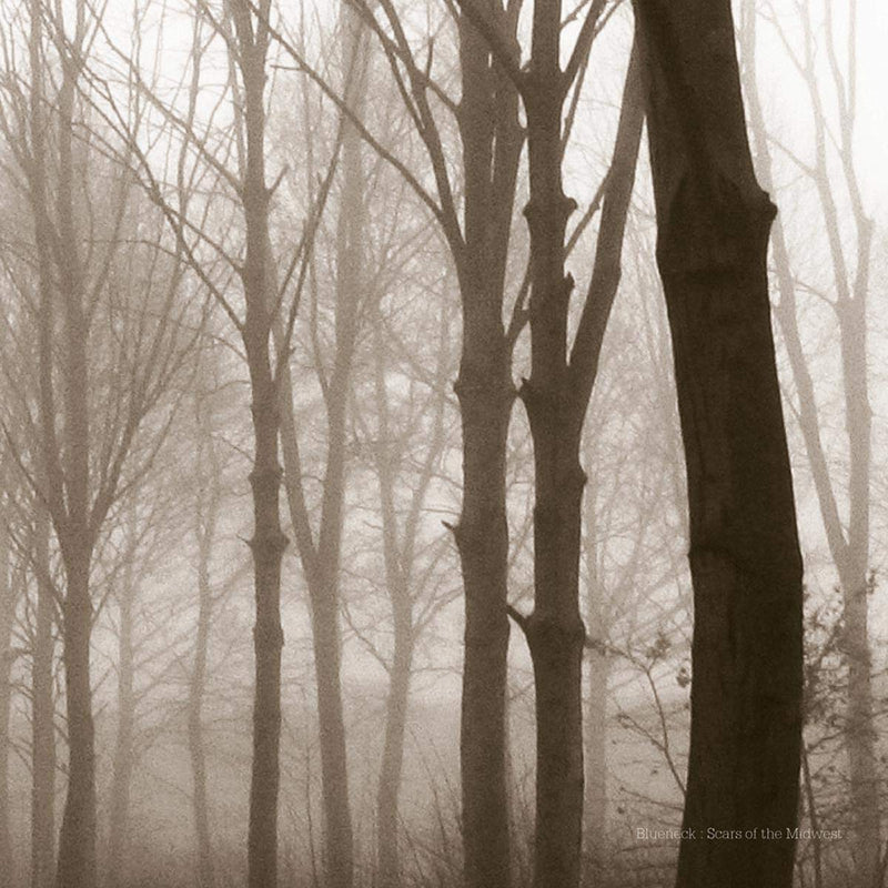Scars of the Midwest