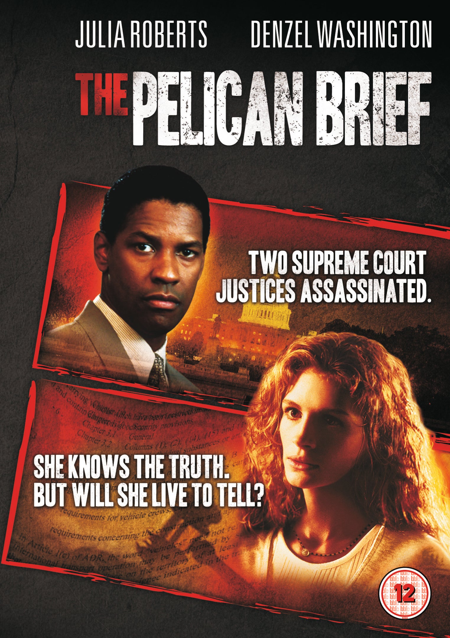 The Pelican Brief