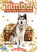 Timber The Treasure Dog