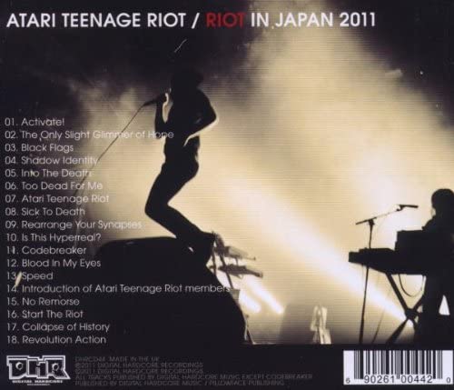 Riot in Japan 2011
