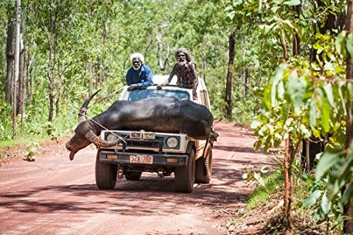 DVD - Charlies Country (1 DVD