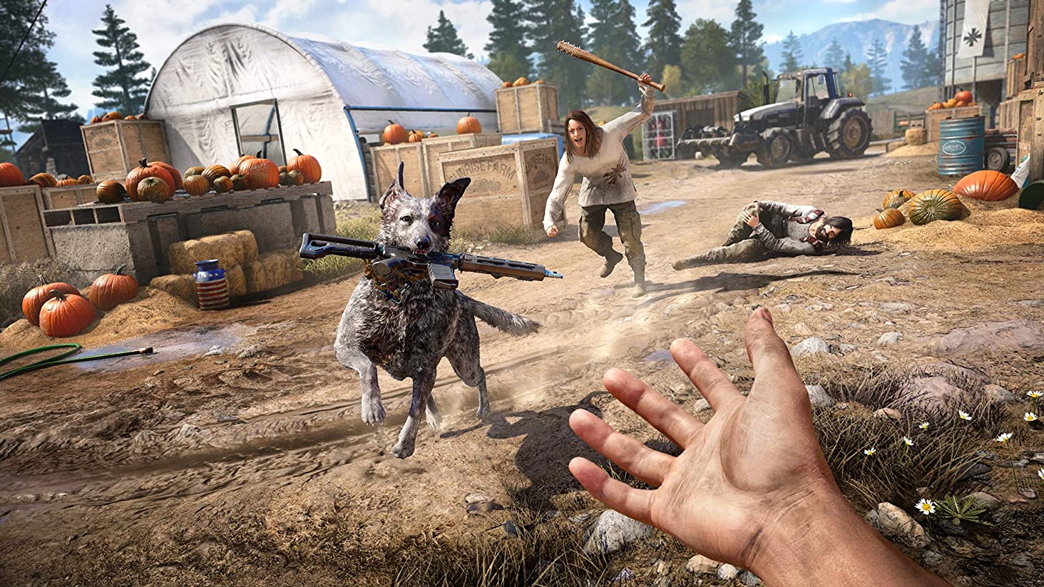 Far Cry 5 (PS4) PlayStation 4 Standard Edition