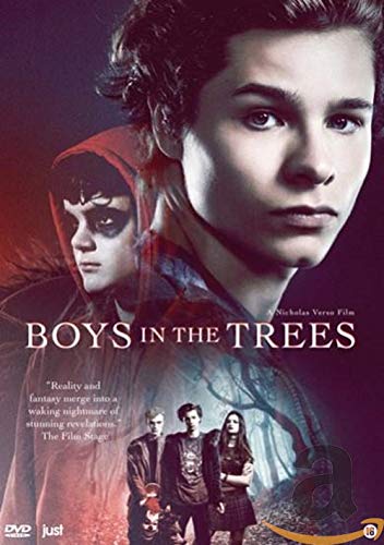 DVD - Boys In The Trees (1 DVD