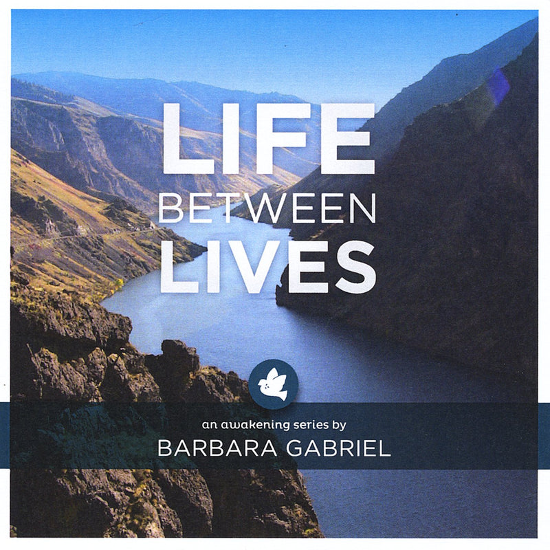 Life Between Lives