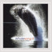 Whale Song II