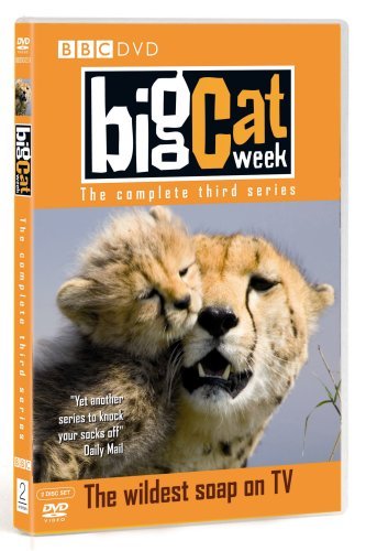 Big Cat Week - Series 3