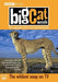 Big Cat Week: The Complete First and Second Series  (2004/2005