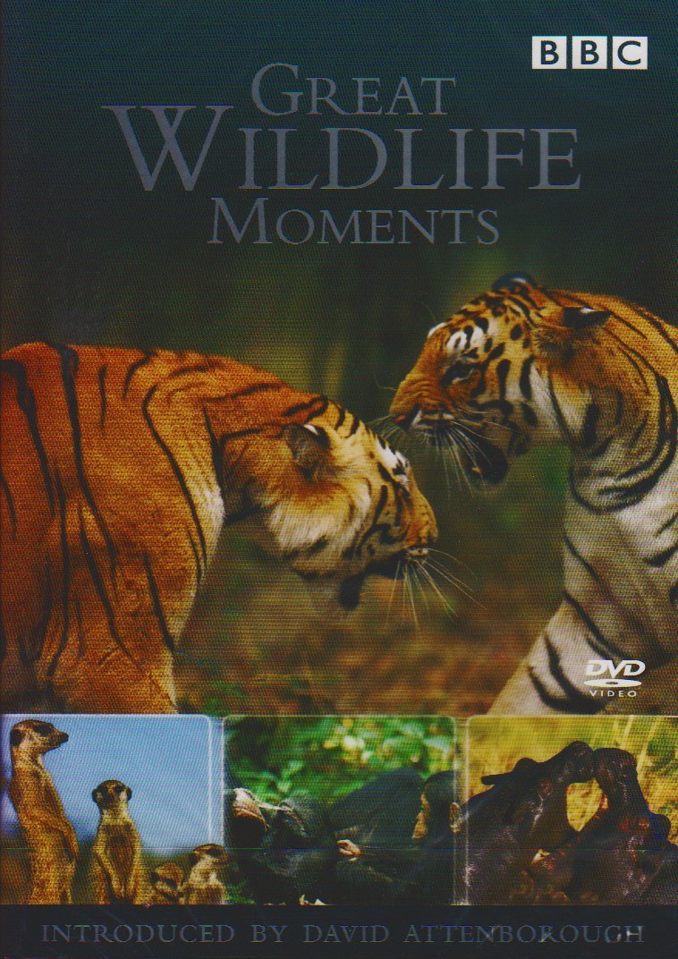 Great Wildlife Moments Introduced by David Attenborough