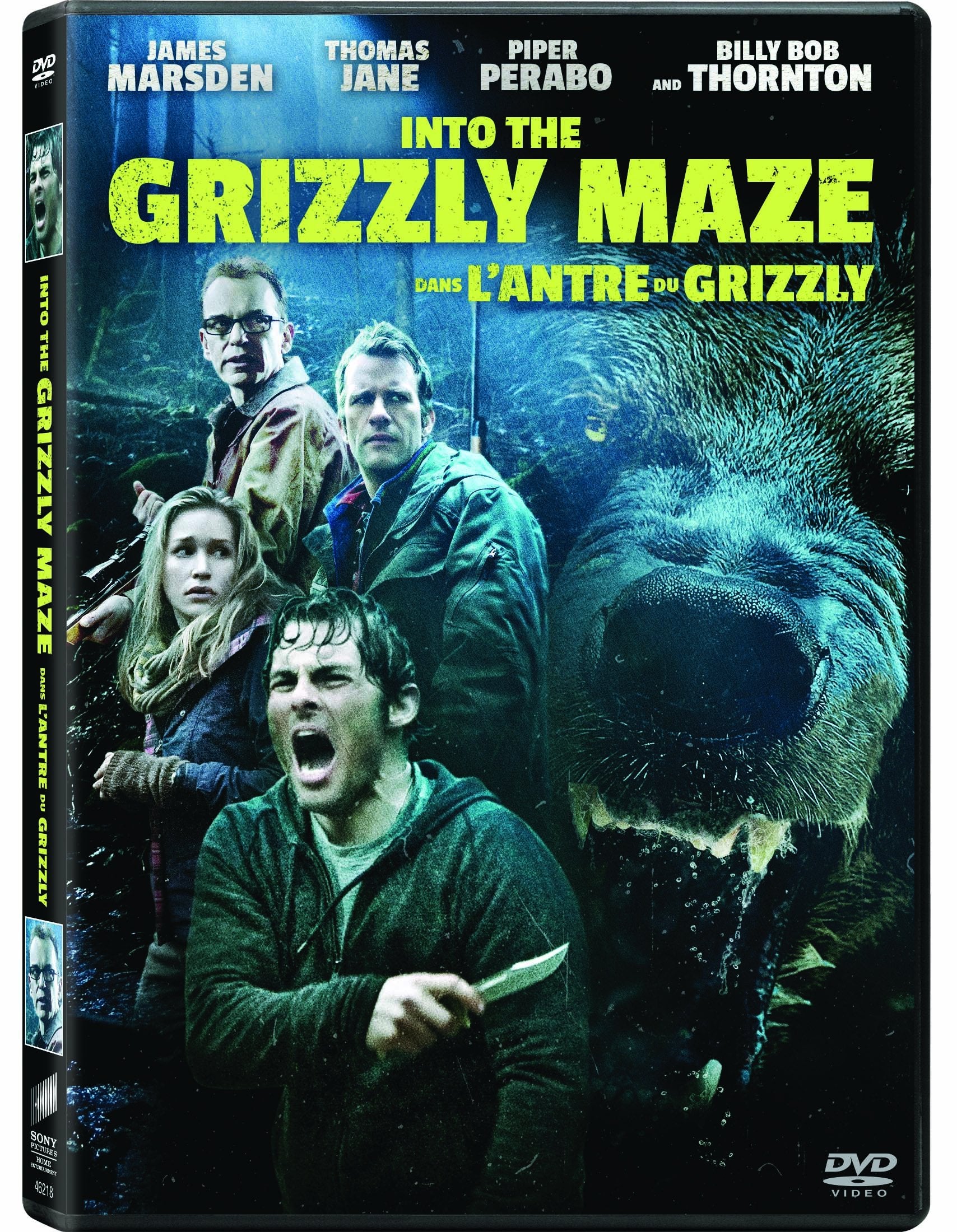 Into The Grizzly Maze