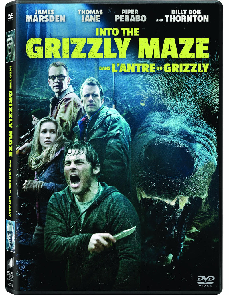 Into The Grizzly Maze