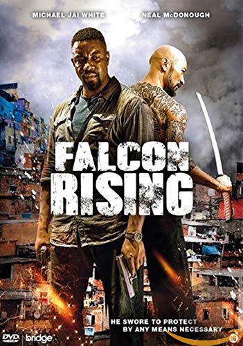 Falcon rising