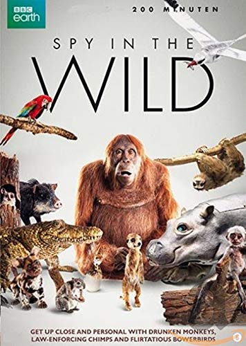 Spy in the Wild BBC