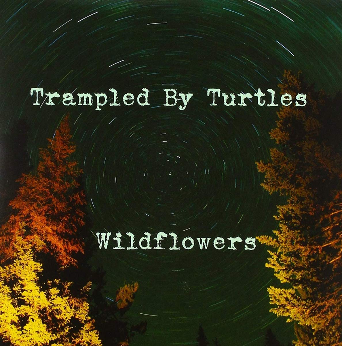 Wildflowers