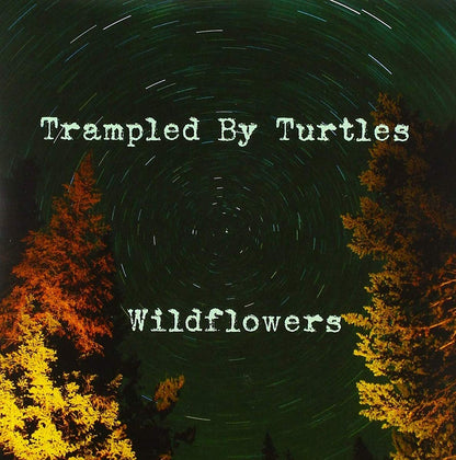 Wildflowers