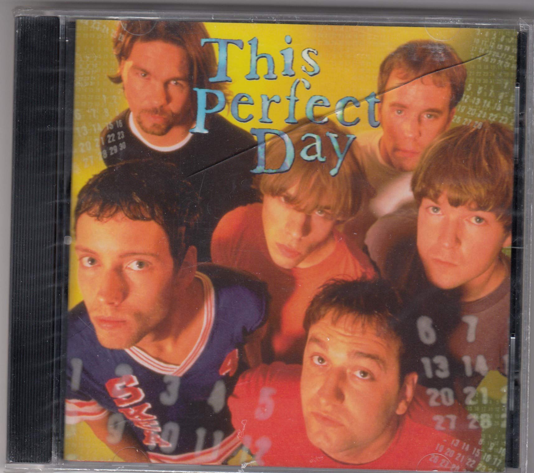 This Perfect Day