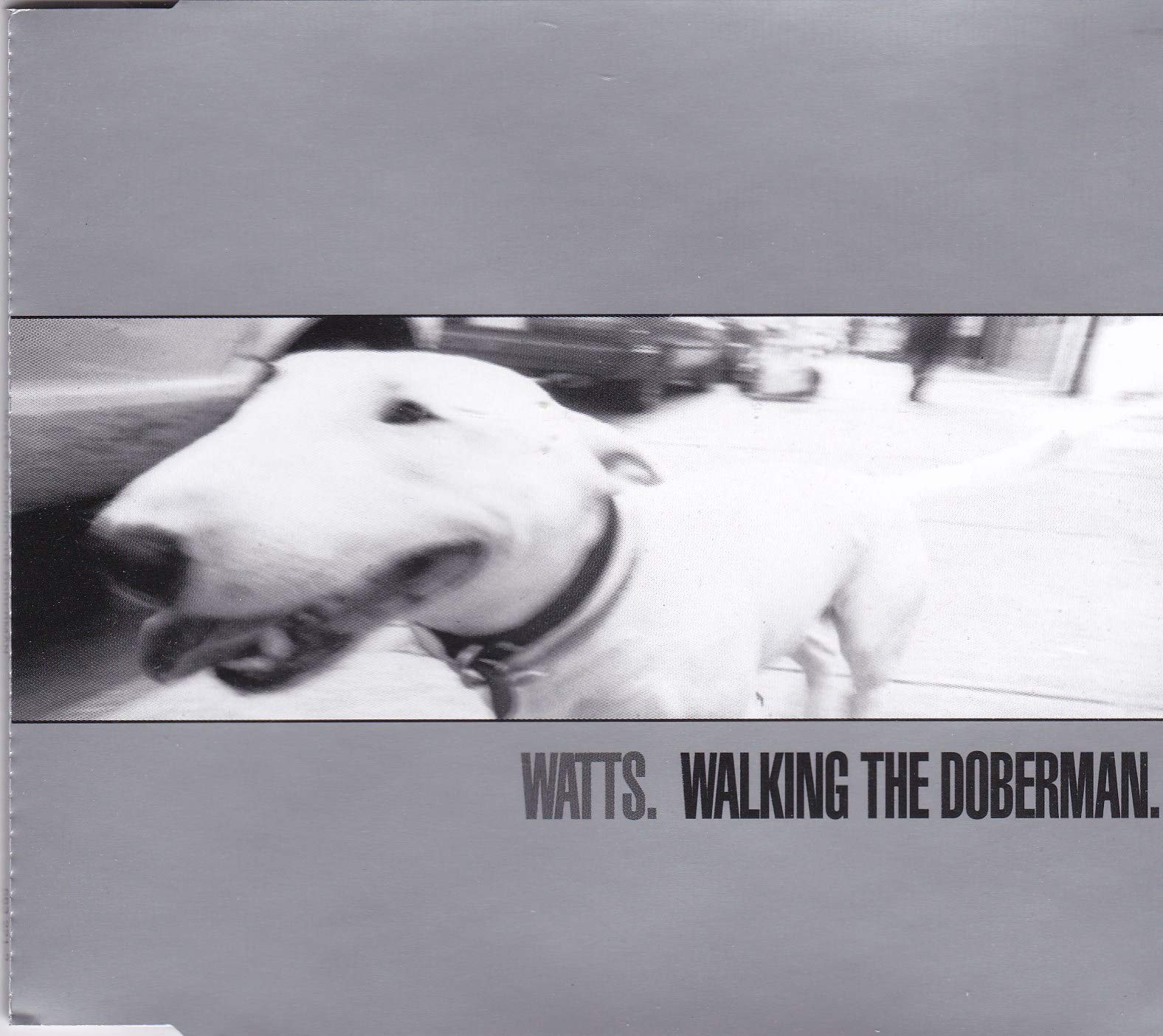 Walking the doberman