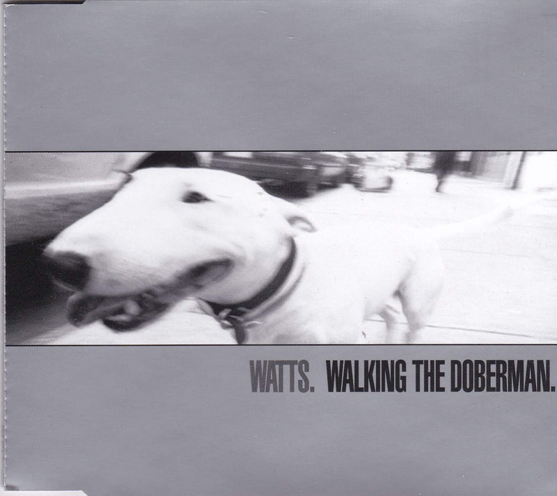 Walking the doberman
