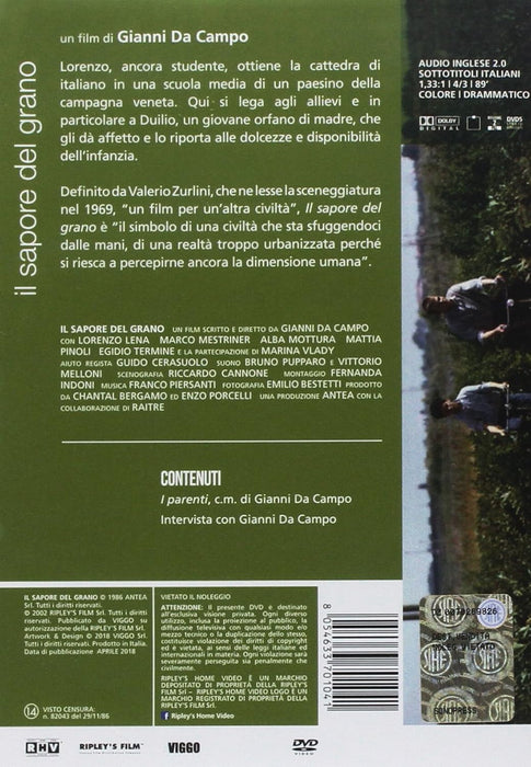 The Taste of Wheat ( Il sapore del grano ) ( The Flavor of Corn )