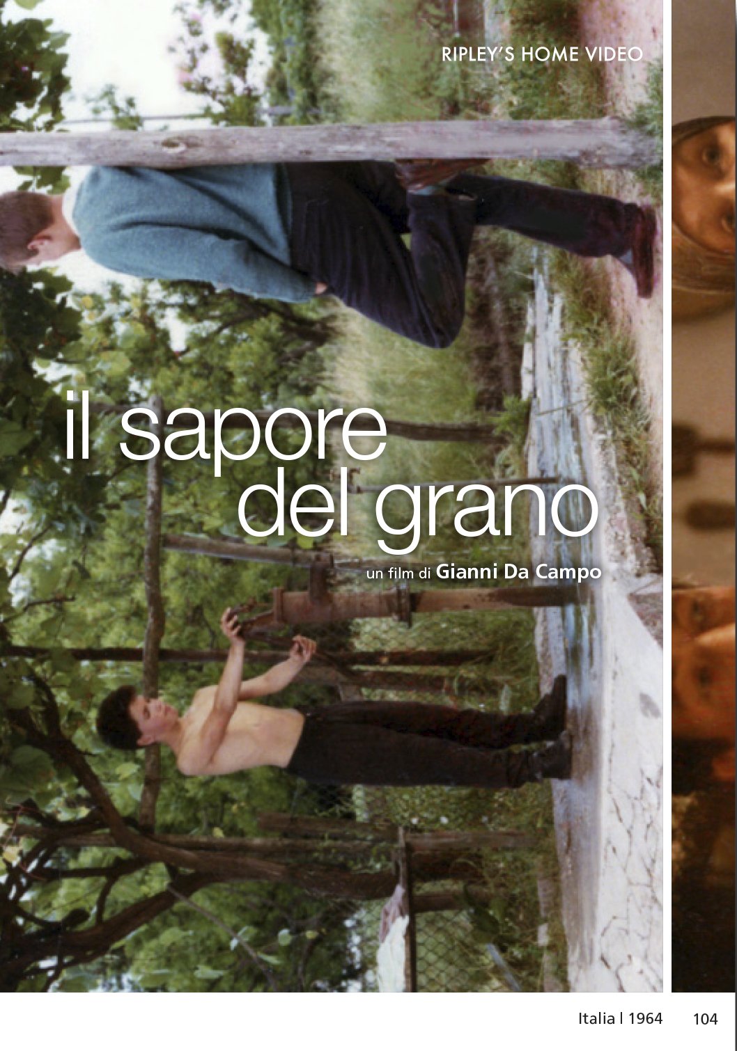 The Taste of Wheat ( Il sapore del grano ) ( The Flavor of Corn )