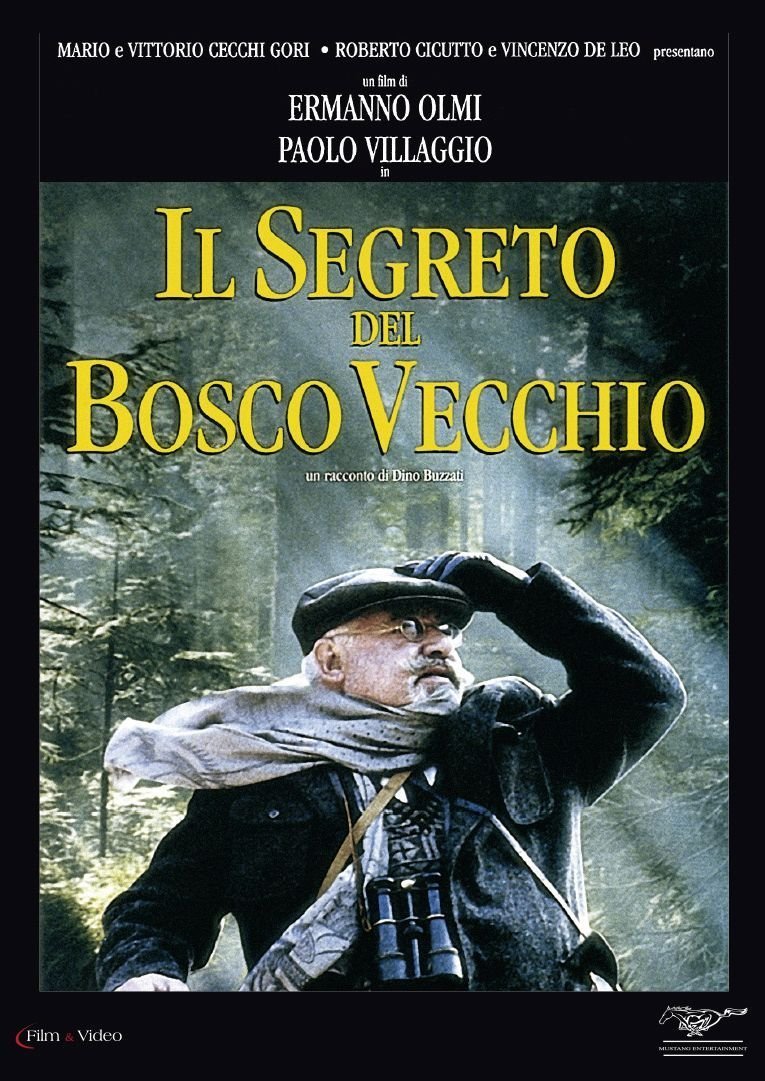 il segreto del bosco vecchio DVD Italian Import