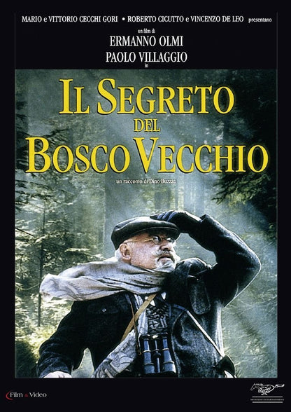 il segreto del bosco vecchio DVD Italian Import