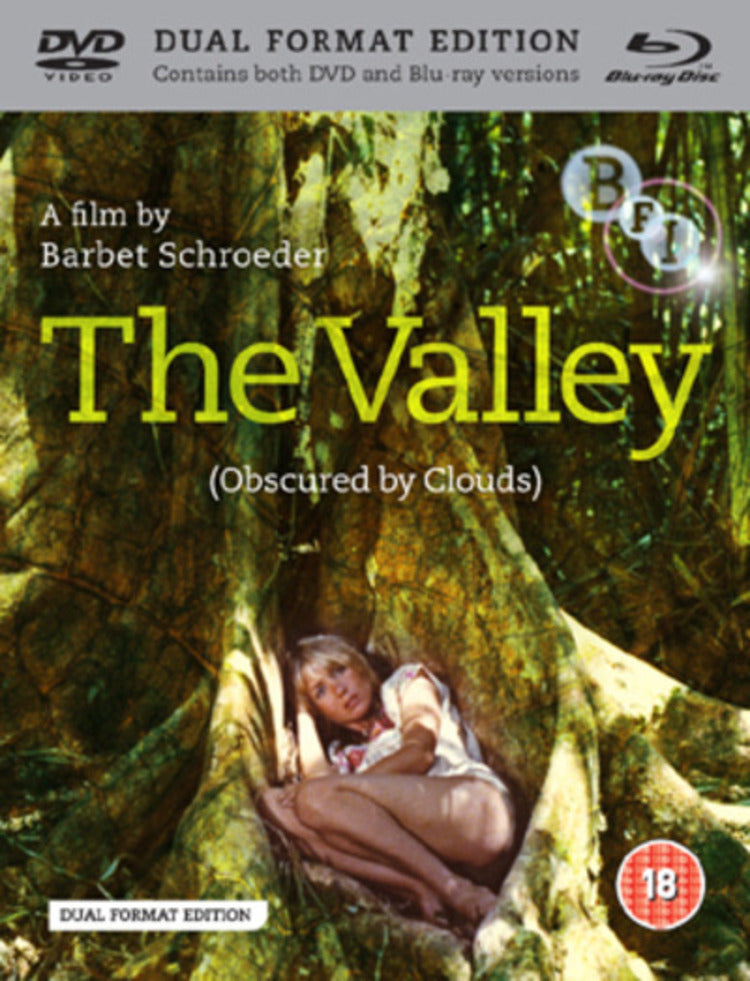 The Valley (Obscured By Clouds)