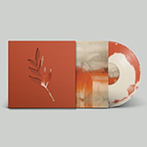 Lucero-S/T