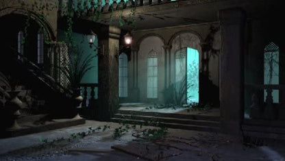 LAST HALF DARKNESS TOMB ZOJIR PC DVD