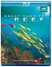 Great Barrier Reef
