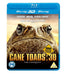 Cane Toads - The Conquest 3D  (UK-Import