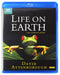 Life on Earth