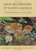 Milk Mushrooms Of North Amer