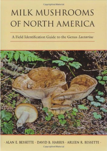 Milk Mushrooms Of North Amer