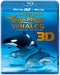 Dolphins and Whales 3D - Tribes of the Ocean