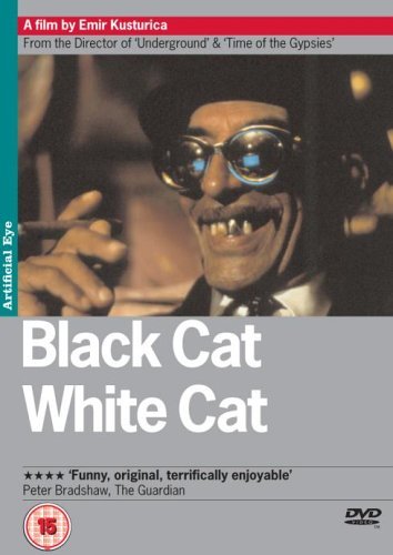 Black Cat White Cat