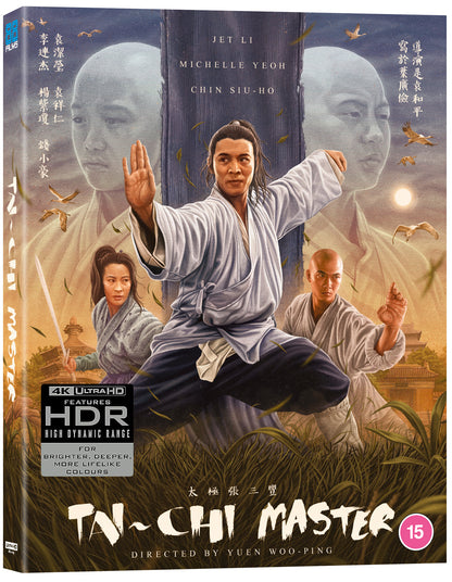 The Tai Chi Master