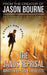 Robert Ludlum's (Tm) the Janus Reprisal