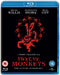 12 Monkeys