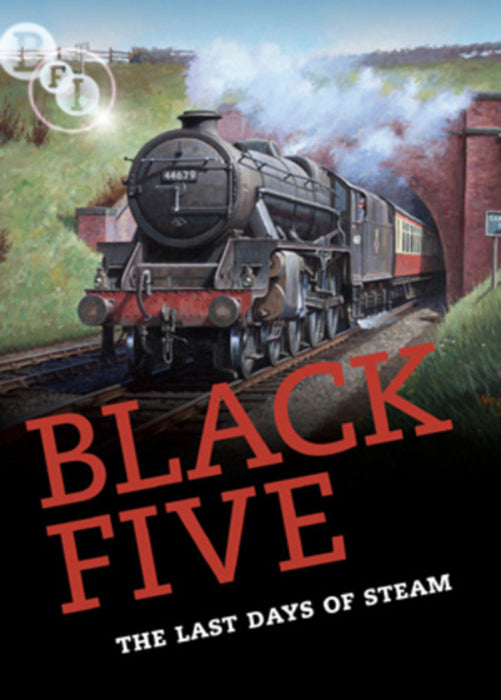 Black Five: The Last Days of Steam