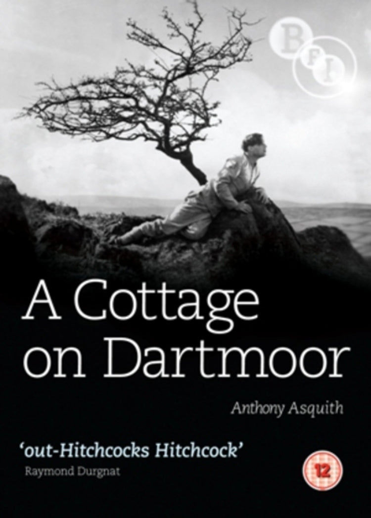 A Cottage On Dartmoor
