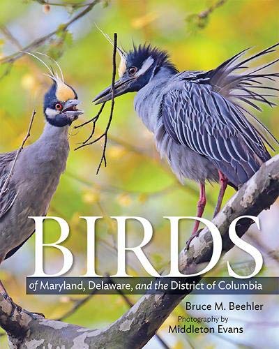 Birds Of Maryland Delaware And The District Of Columbia