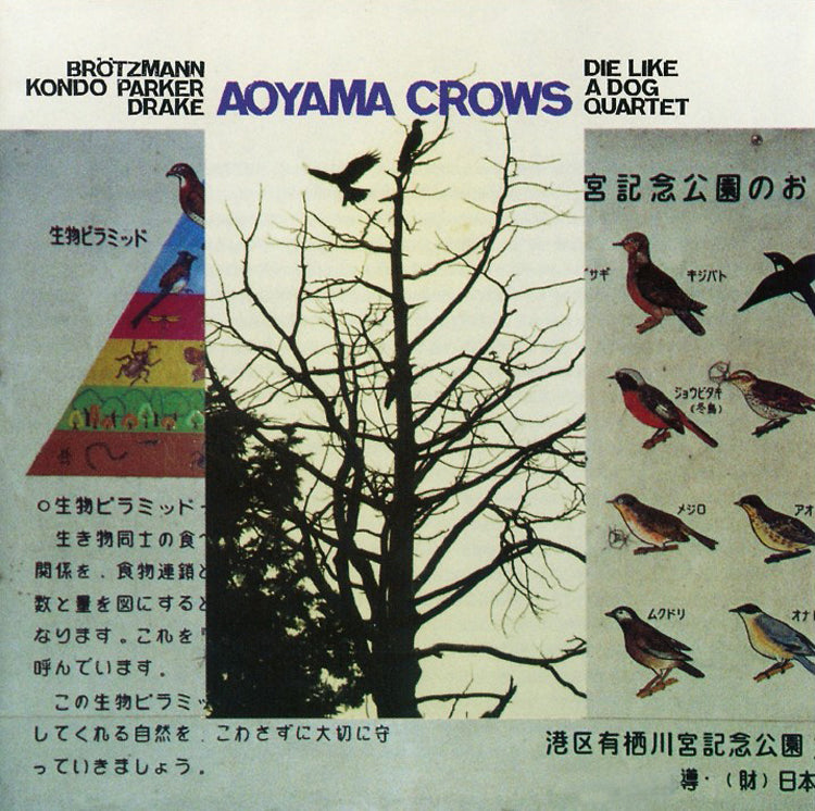 Ayoama Crows