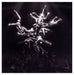 Lisa Gerrard: The Silver Tree