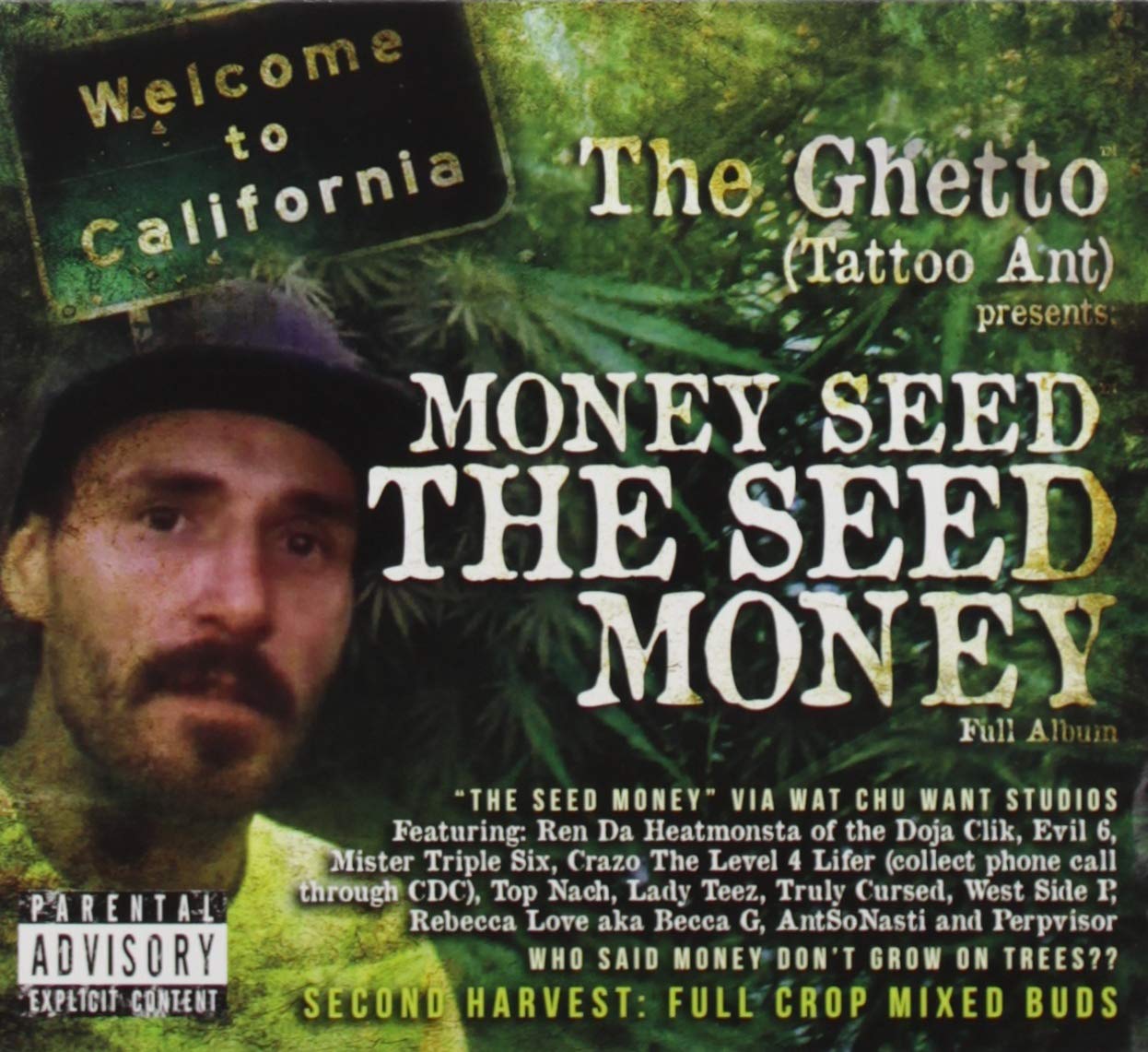 Money Seed: The Seed Money
