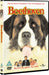 Beethoven